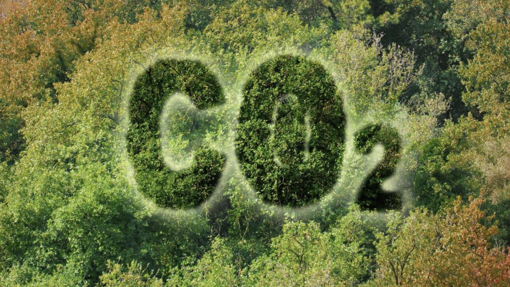 co2 and the environment