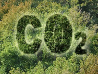 co2 and the environment